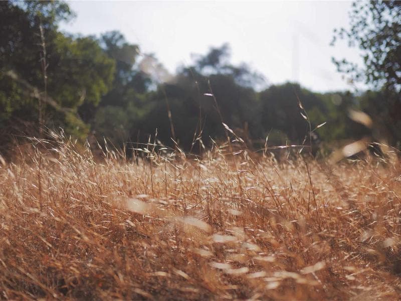 Minimalist Analog Watch