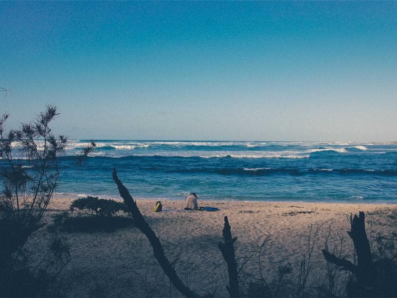 Slim Fit Denim Jeans